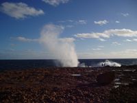 Blowholes